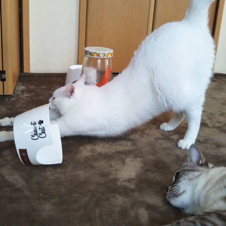 89c19b4f 257c 4eb9 9c70 a51f7345ad0a 1558425863479