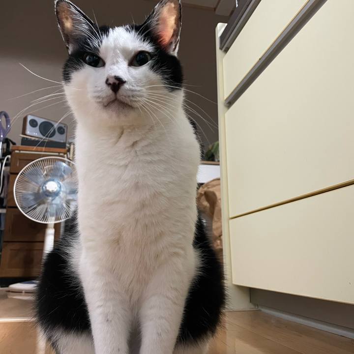 89c1d175 d7e9 420d ab4d 9e2e2998f86a 1718729464302