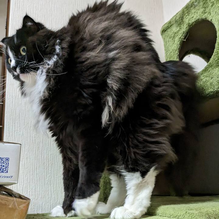 89c1ff75 1b34 49ba a784 18843fb76693 1681283846797