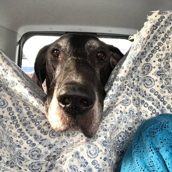 89c22dc1 ee1e 424e 82ab 4d2b24a7c7de 1539906177662