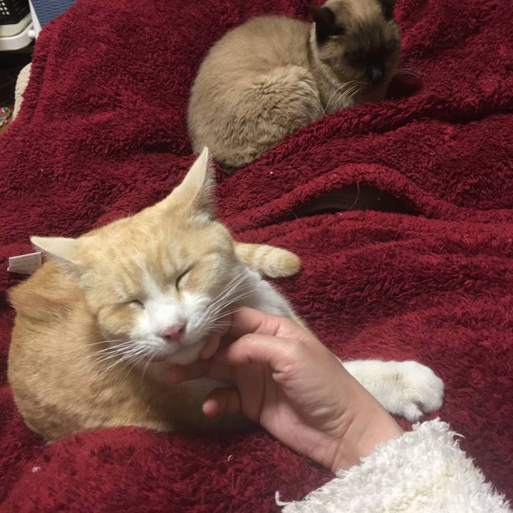 89c2a64a 695f 4905 a857 407d6fb5e790 1518435666168