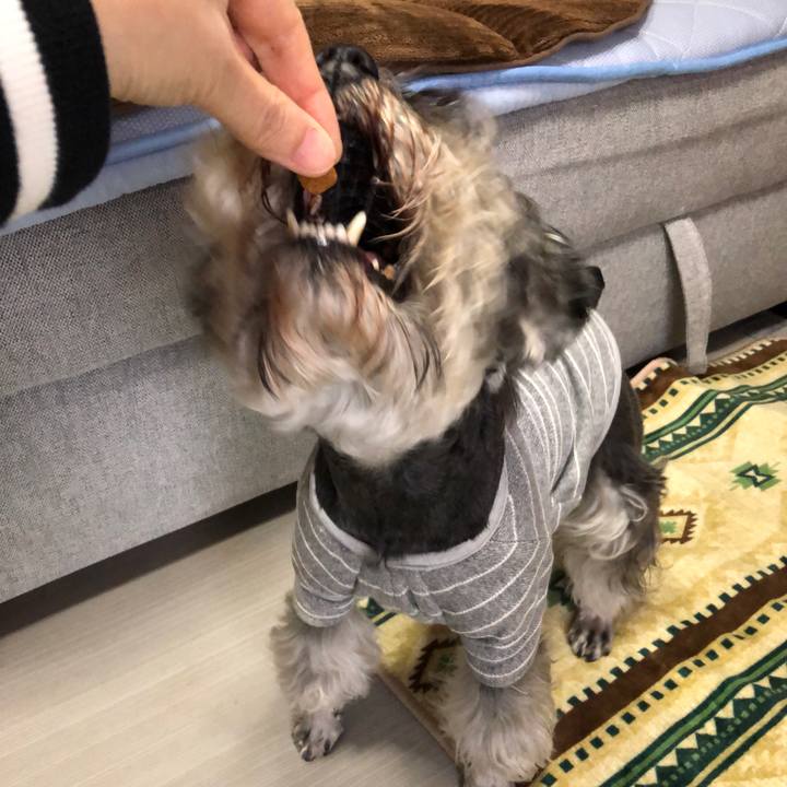 89c2cd55 ba44 4b63 bbad 101b2ba249dd 1619919785049