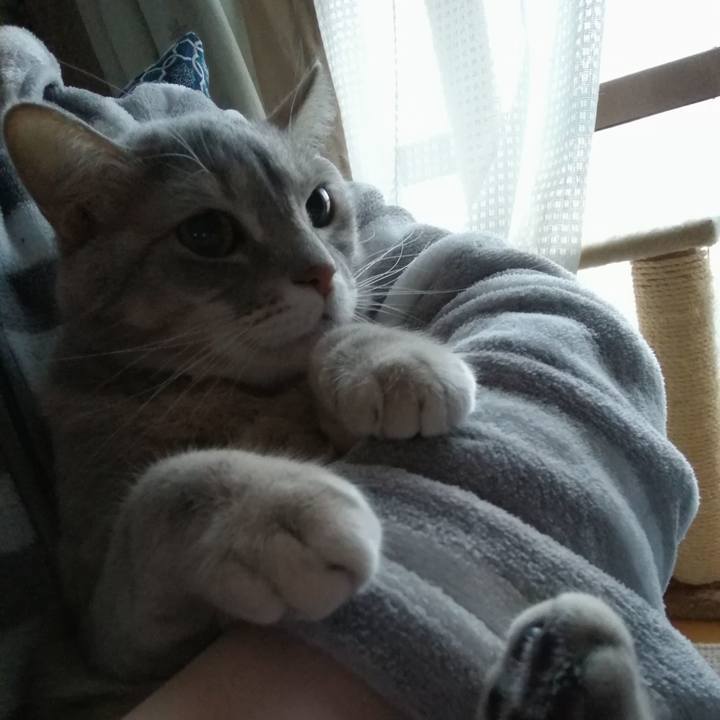 89c30879 ae42 478b 8645 61cd5b5dda36 1545710413732