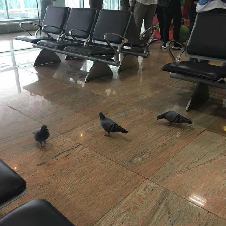 89c31762 9419 4f65 87bb 4b267076b280 1537544503146