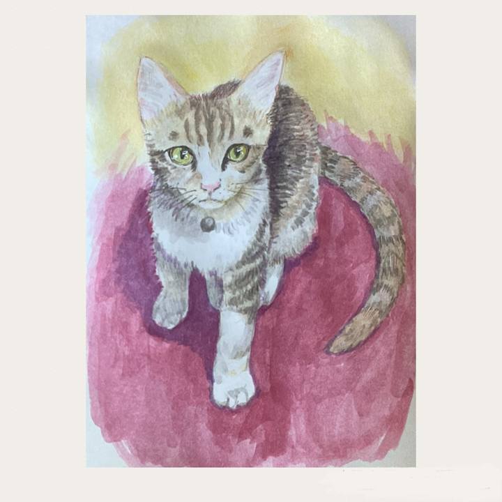 89c32525 e65c 48cf b31e c471c509b684 1676103444672