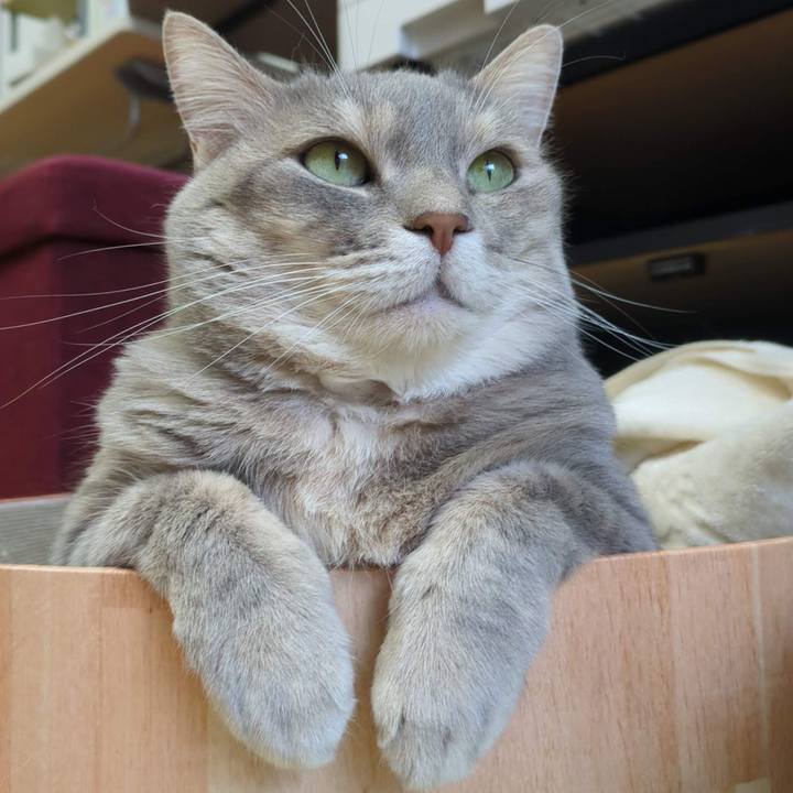 89c33d19 c0e3 40f7 8b4e e84fea565216 1688527120233