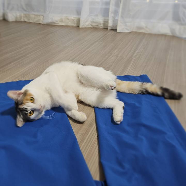 89c34ec4 e6a5 4a1e 97d8 37d3d0e55733 1759626244534