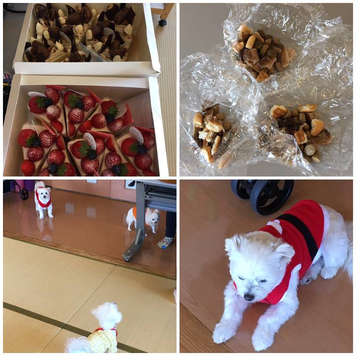 89c35740 ed56 4aae 9f4b c4e1e875c6b7 1545026229218