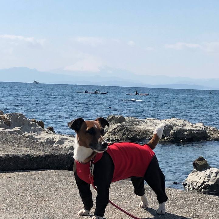 89c39540 7d6c 4b32 9ba2 d03ca35dbc44 1554332034393