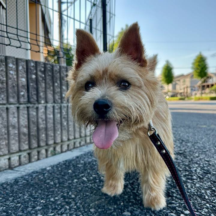 89c3dcc6 a848 46d9 b246 a2d097625339 1753595725455