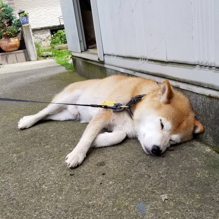 89c3dce1 d79c 46dd ba69 1a44bd56c7b3 1595391586274