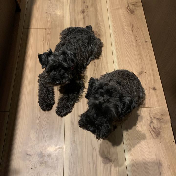 89c3ec47 cab9 41f2 9977 e52ccc290fb2 1597054269400