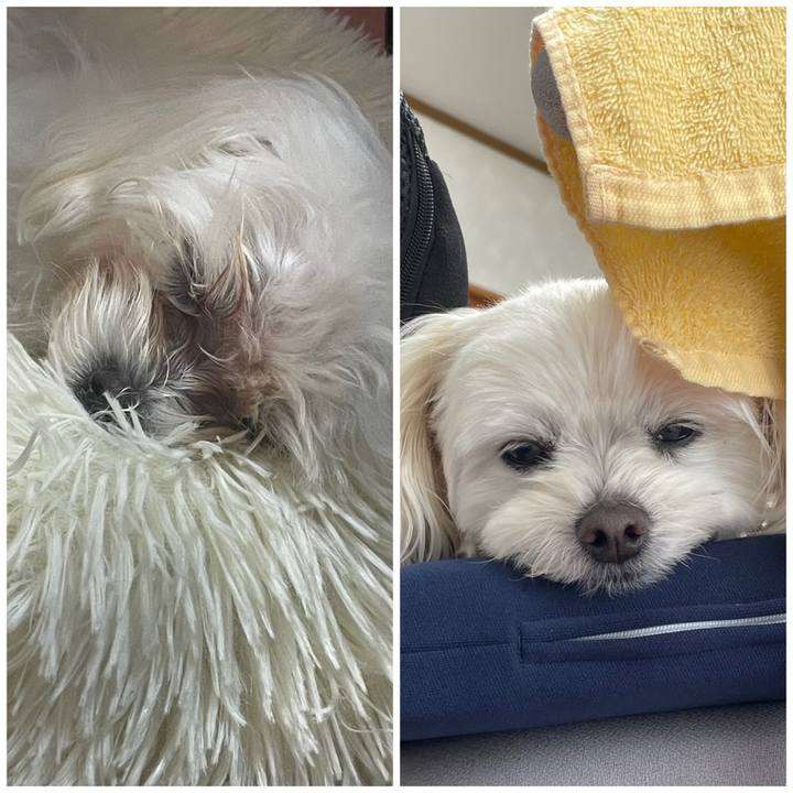 89c412d3 4215 4369 9ae0 a5853986c658 1713532773367