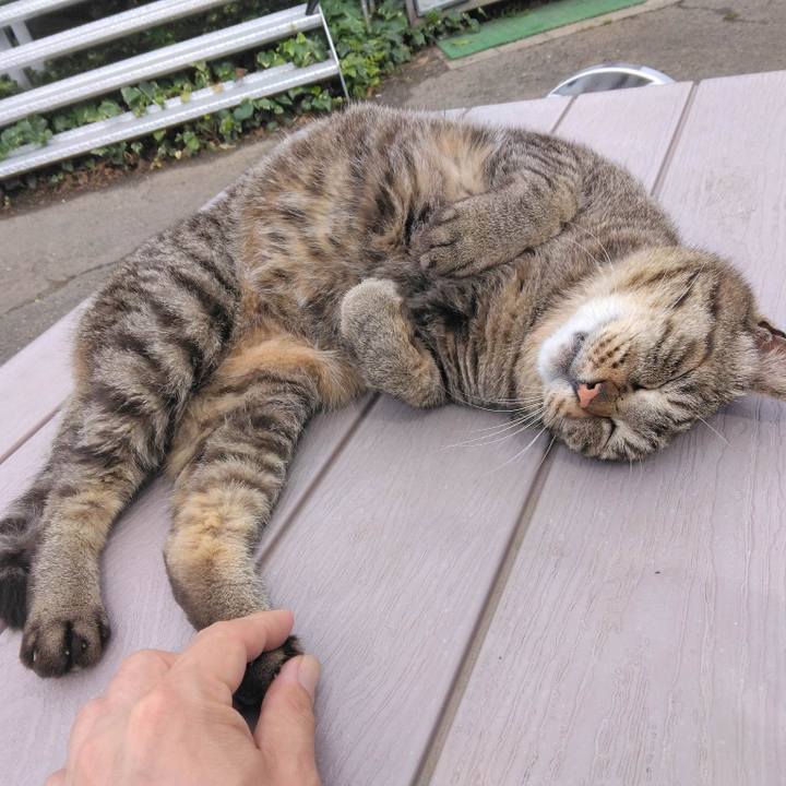 89c5005c 8738 4545 b96a 6896bb70807d 1685084744768