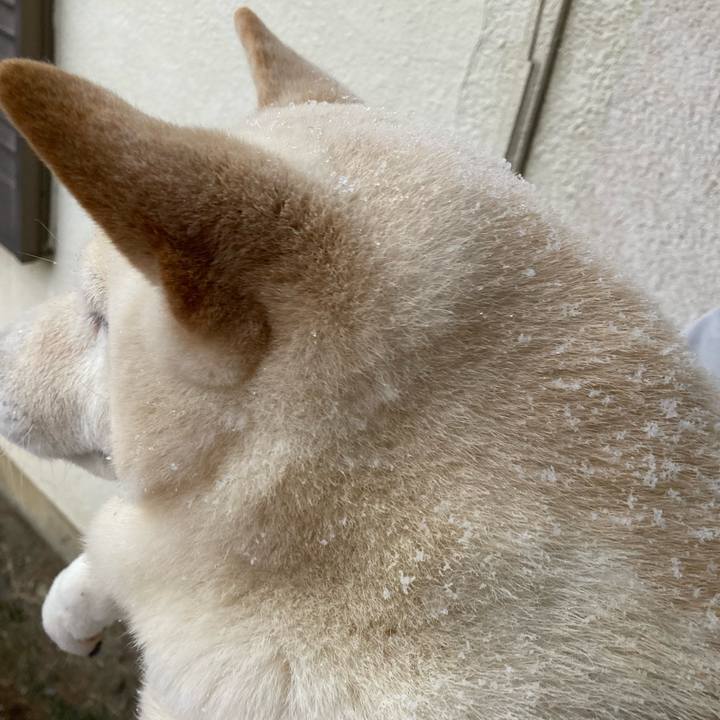 89c5022b 8a9a 4801 8845 779ff225b183 1675983213597