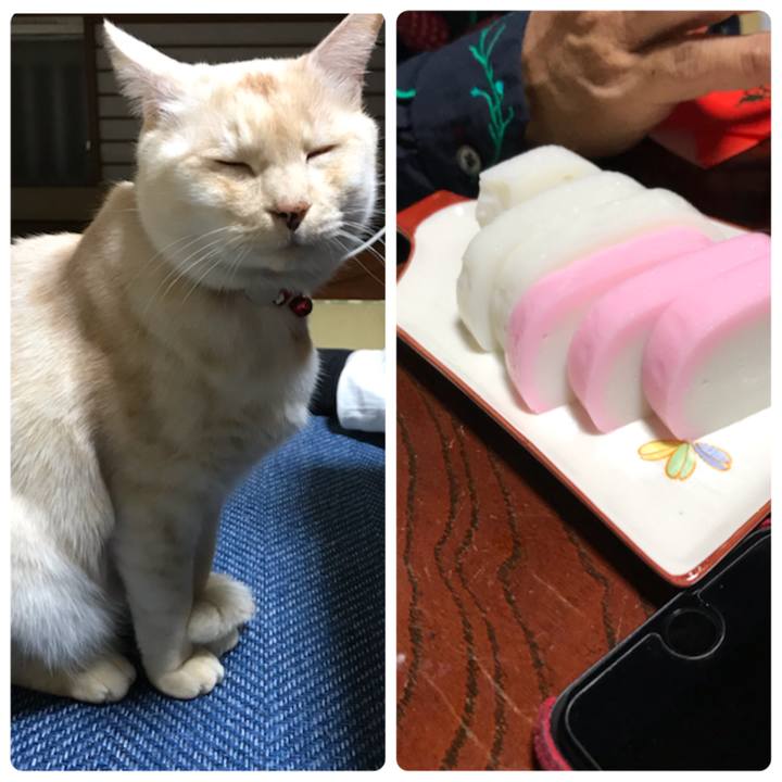 89c549dc be81 47d1 afba 68fd7717ca83 1578049703025