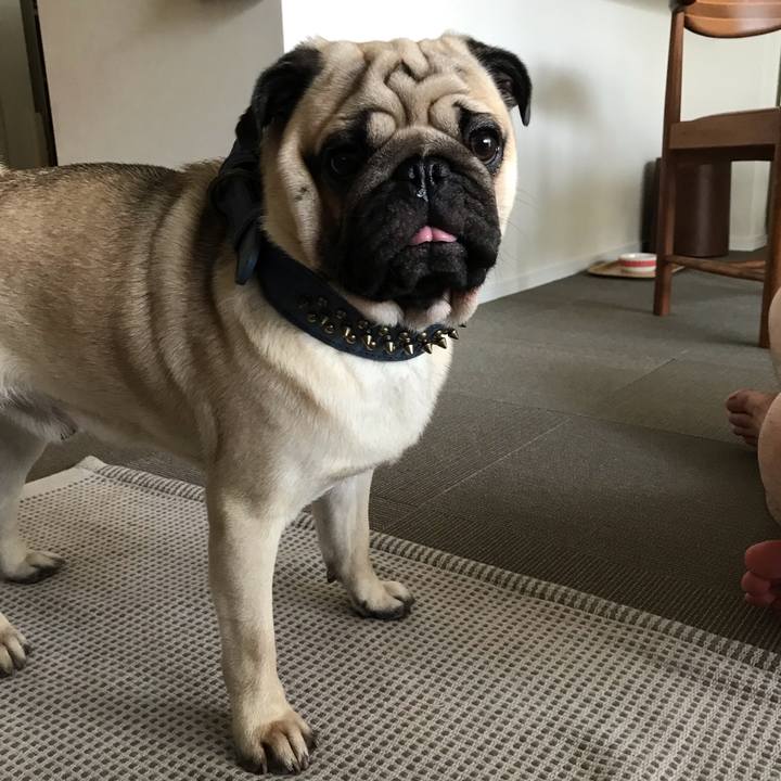 89c56176 0c44 4491 90fc 6f5325073bfe 1568080349610