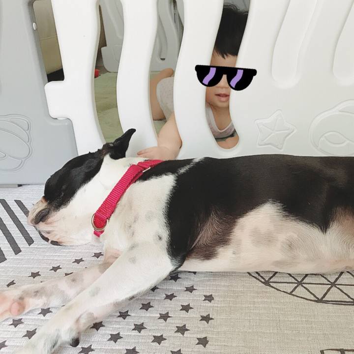 89c5be34 5033 45e1 aa71 aa821eebdbd4 1531273409515