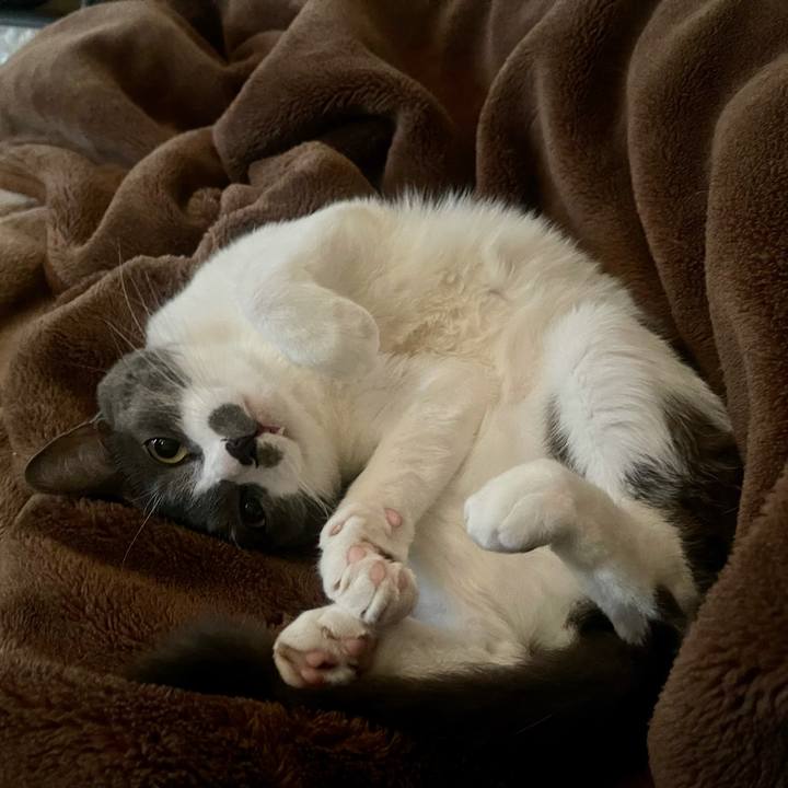 89c5dc67 bfeb 42e8 8e85 8b68e93b5a7d 1636938431454