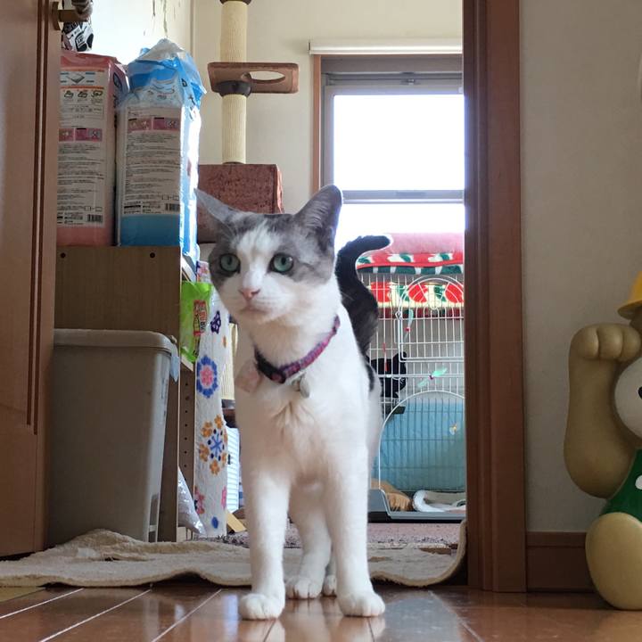 89c5e50e f652 47a3 aed0 059275d38a83 1526438493452