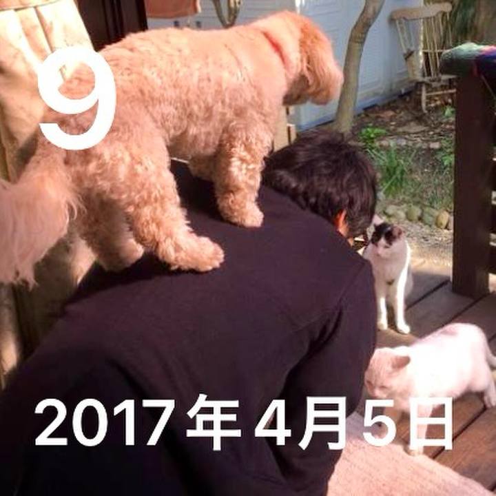 89c602f4 2ee9 4d4a 822d 5712b9cc998d 1744168816297