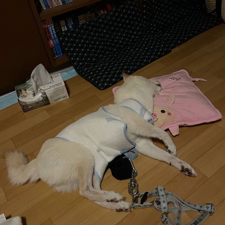 89c623c7 c82d 4eed 8a62 226fd70e8527 1662064924688