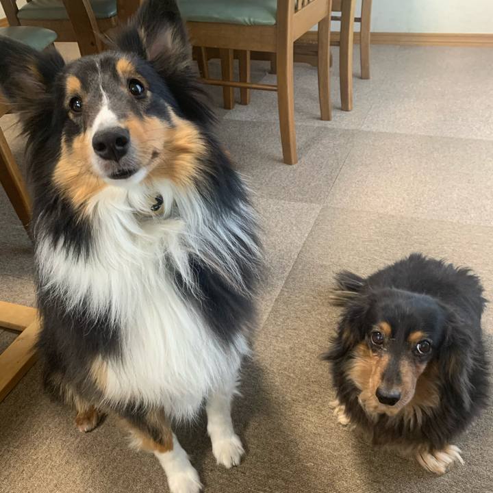 89c6400c 40e5 4a35 8802 9f94ec0ed9c3 1582496492527