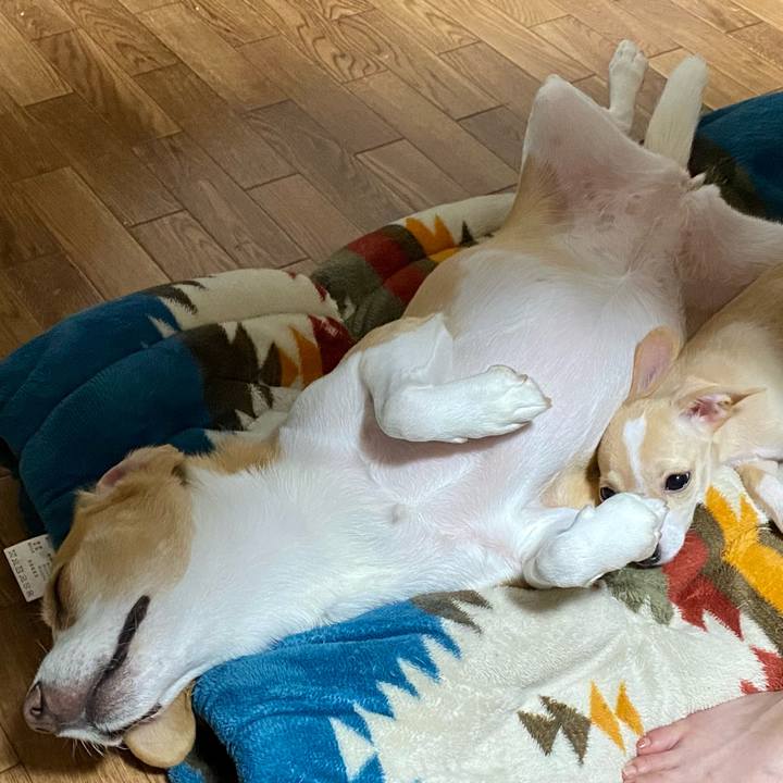 89c68536 372a 4d01 9a9f de1181a37e79 1663392727372