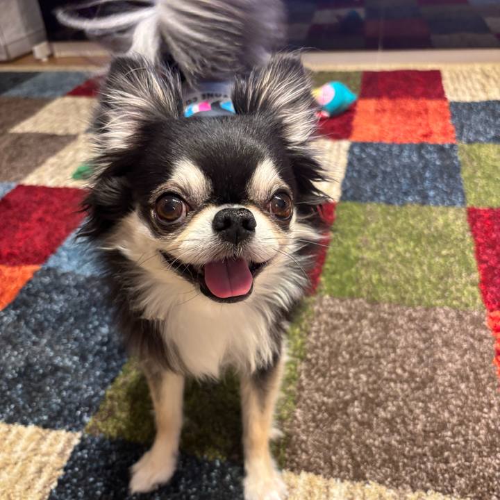 89c73567 a16a 4494 bfdd f5a7dad68b66 1744476297272