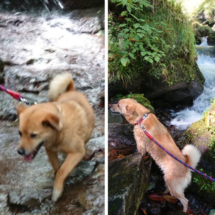 89c79ffb 80d8 4877 b5de 93f2882590ba 1580638623943