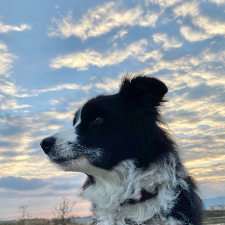 89c7c66f 0da5 4fdf bd16 50e366b33a1f 1608419411295