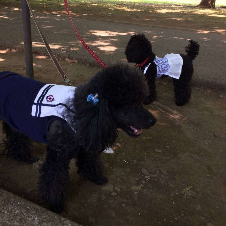 89c80973 9a2f 4365 abc0 4c775f315682 1526960381845