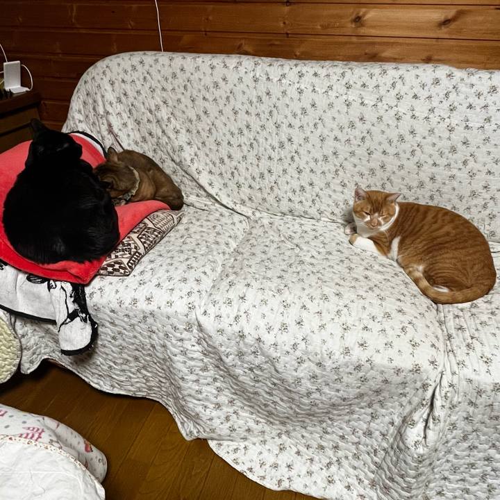 89c80ff2 090b 4b0d 9874 5f86a592bde2 1705996576907