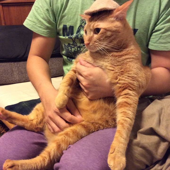 89c87076 9777 46b6 a6be e578fbbb74a3 1522929393929