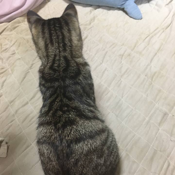 89c878e4 ce65 46b3 9145 dfe0d17427e8 1541698450890