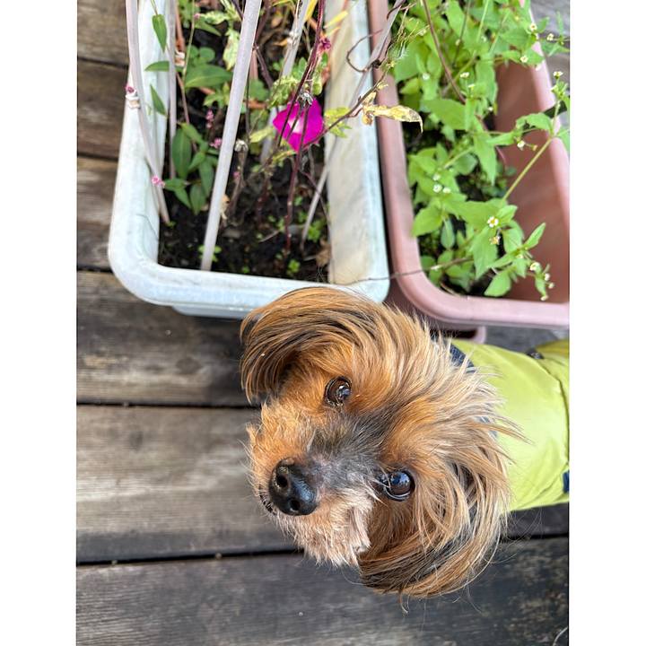 89c894a1 6c04 46f3 a3a8 273238eb8c8e 1731022027203