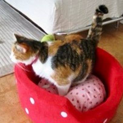 89c8fd30 1e06 4c9f b363 73e31789148d 1751412350789