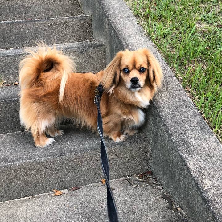 89c920c5 ecba 4e88 86ad e6e05a78392b 1528923956784