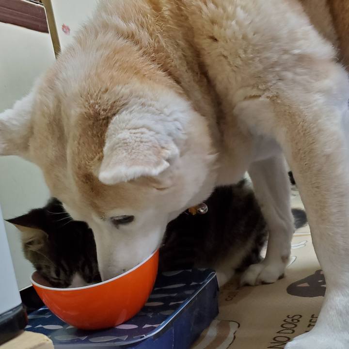 89c95b93 9879 4c0f b14a f32322b65c1a 1649078019402