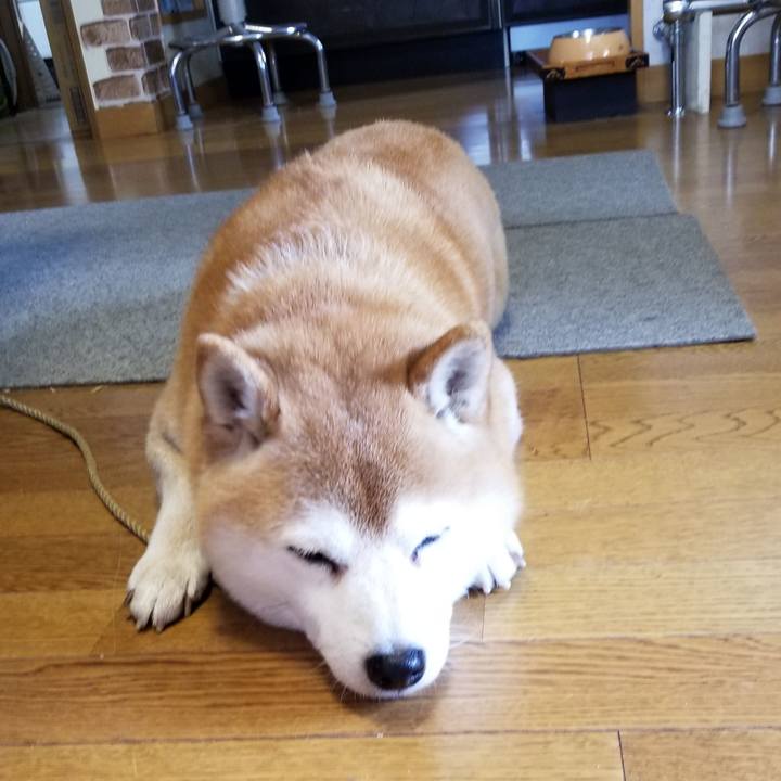 89c97d09 546e 4f9e a446 fe951df93cac 1640658144038