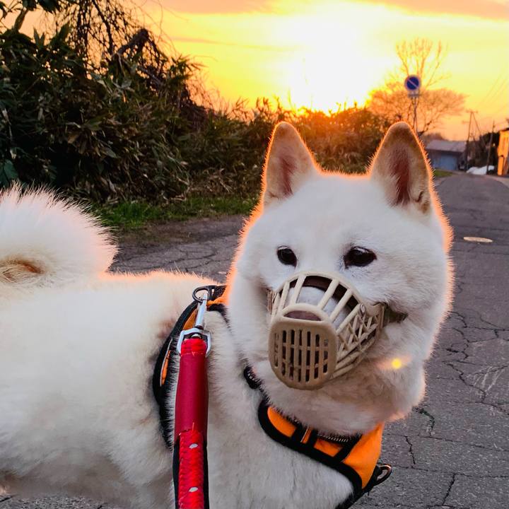 89c98042 01da 4f11 abc6 d75dfa10fdc6 1650144168613