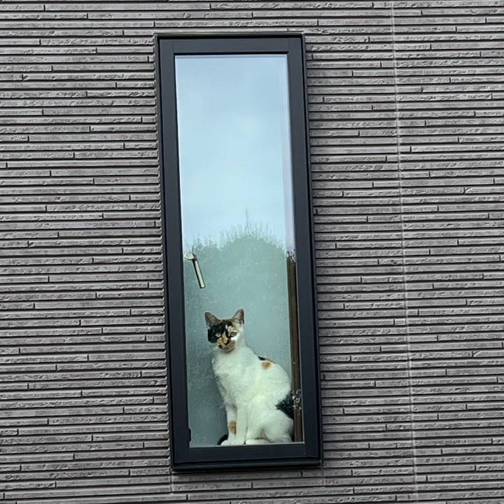 89c98ee9 f42c 4d4e b11c 36f3ef90fc63 1680140766023