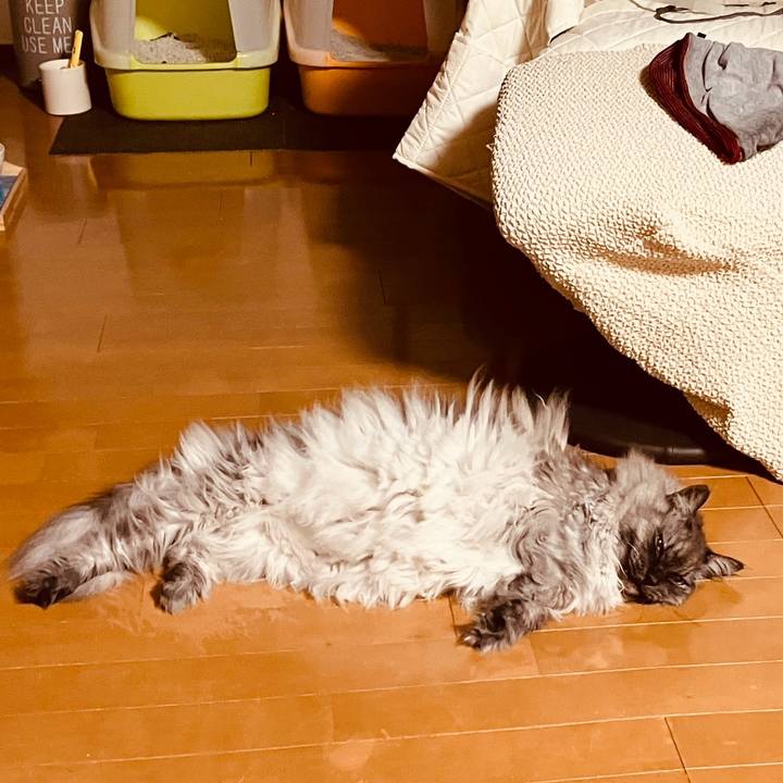 89c9c5b5 81fd 42a8 9aa8 555d2c15a362 1734826677561