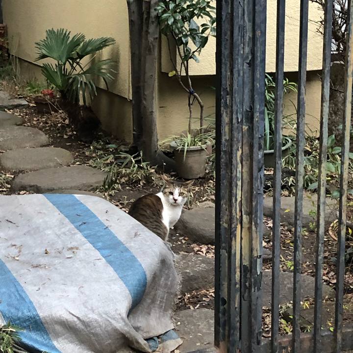 89c9f6fd af52 49e6 b9eb 3bf6c3d756f6 1580974569772