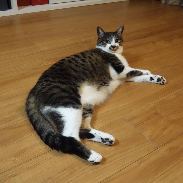 89ca0e3b 383f 471c 9779 a97113ce7e6d 1764235271103