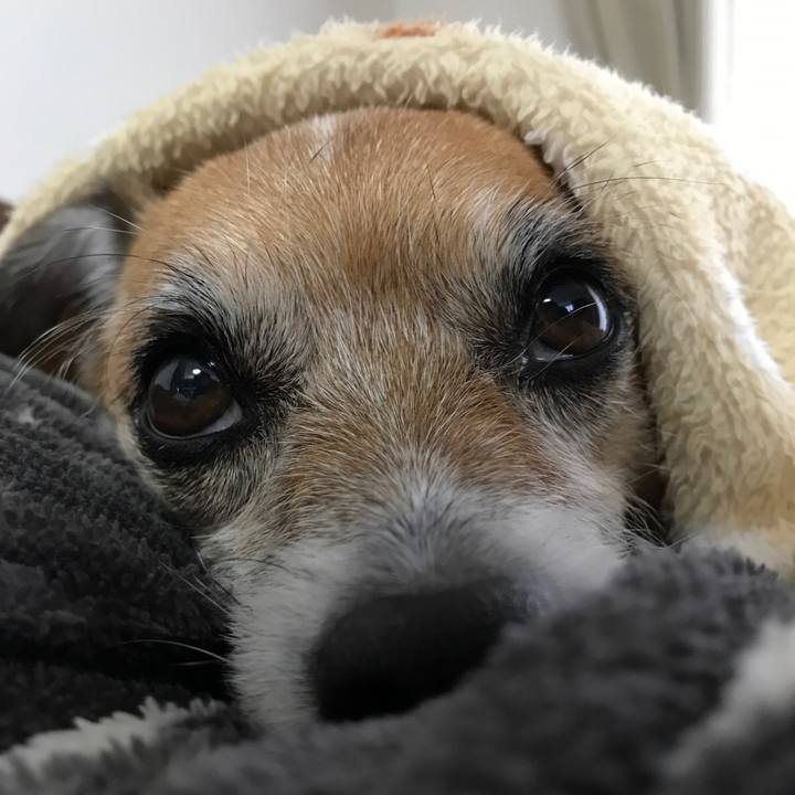 89ca4932 934e 465c b224 a04720f6ef98 1575599951604