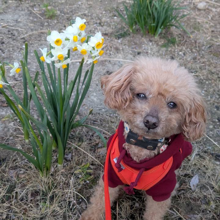 89ca5494 98e9 4597 a096 7ee7c24cba27 1772407054792