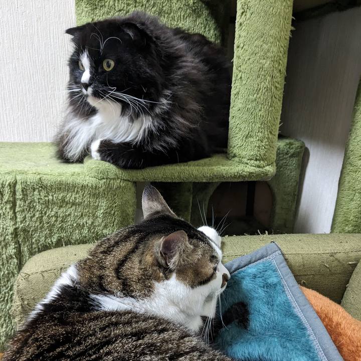 89ca5b05 d252 473c 8ae0 f4c14fd6e0cf 1708310922816