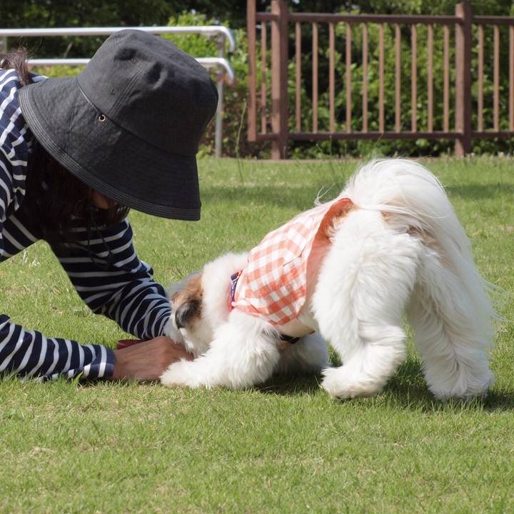 89cabeda 13da 429a a536 f6dea4131bf7 1525092621394