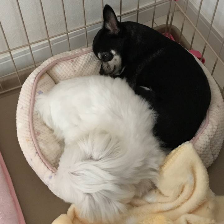 89cacc4f 240c 4eaf 8c3a ac9caa8db305 1508045171410